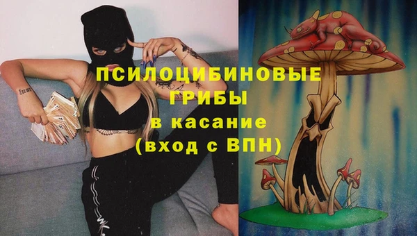 прущие крисы Баксан